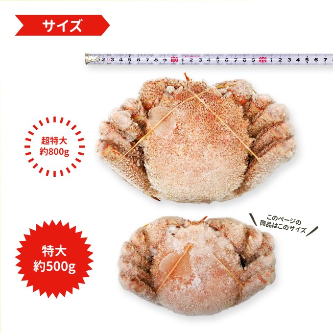 毛がに 特大 約500g 2杯 ボイル 毛ガニ 北海道 国産 送料無料 1kg 年末