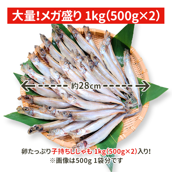 子持ちししゃも 1kg（500g×2） 送料無料 お取り寄せグルメ