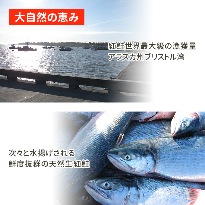 大自然の恵み