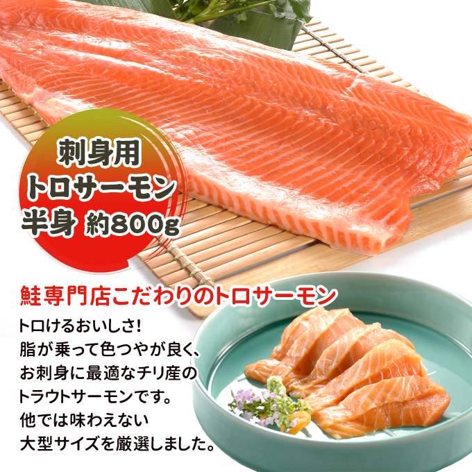 トロサーモン 半身 約800g 刺身用 送料無料 お取り寄せグルメ :10000129:サーモン専門店岩松 通販 