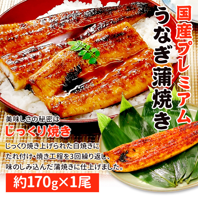 鹿児島産 新 国産 うなぎ蒲焼き 約170g 1尾 送料無料 お取り寄せグルメ :65001124:サーモン専門店岩松 - 通販 -  Yahoo!ショッピング