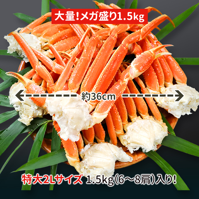 メガ盛り