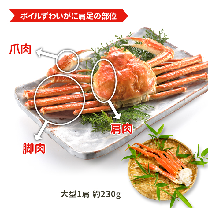 部位