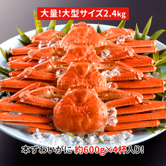 ボイル本ずわいガニ　4匹 ボイル本ずわい蟹/足 大盛 3kg!
