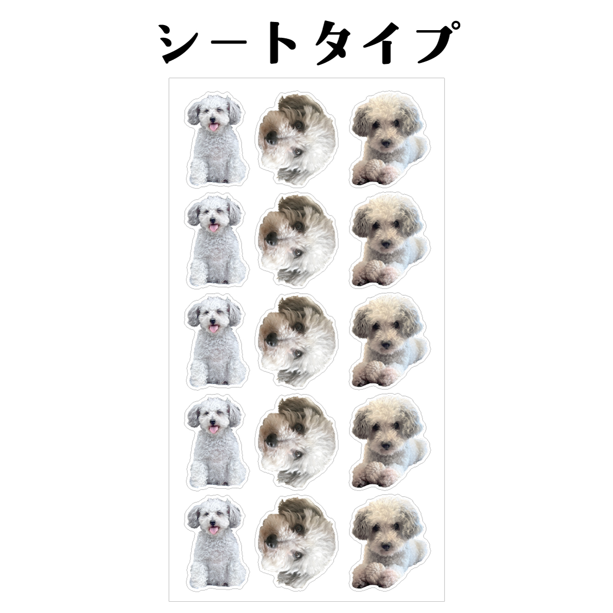 シール ステッカー オリジナル オーダーメイド うちのこ わが子 写真 