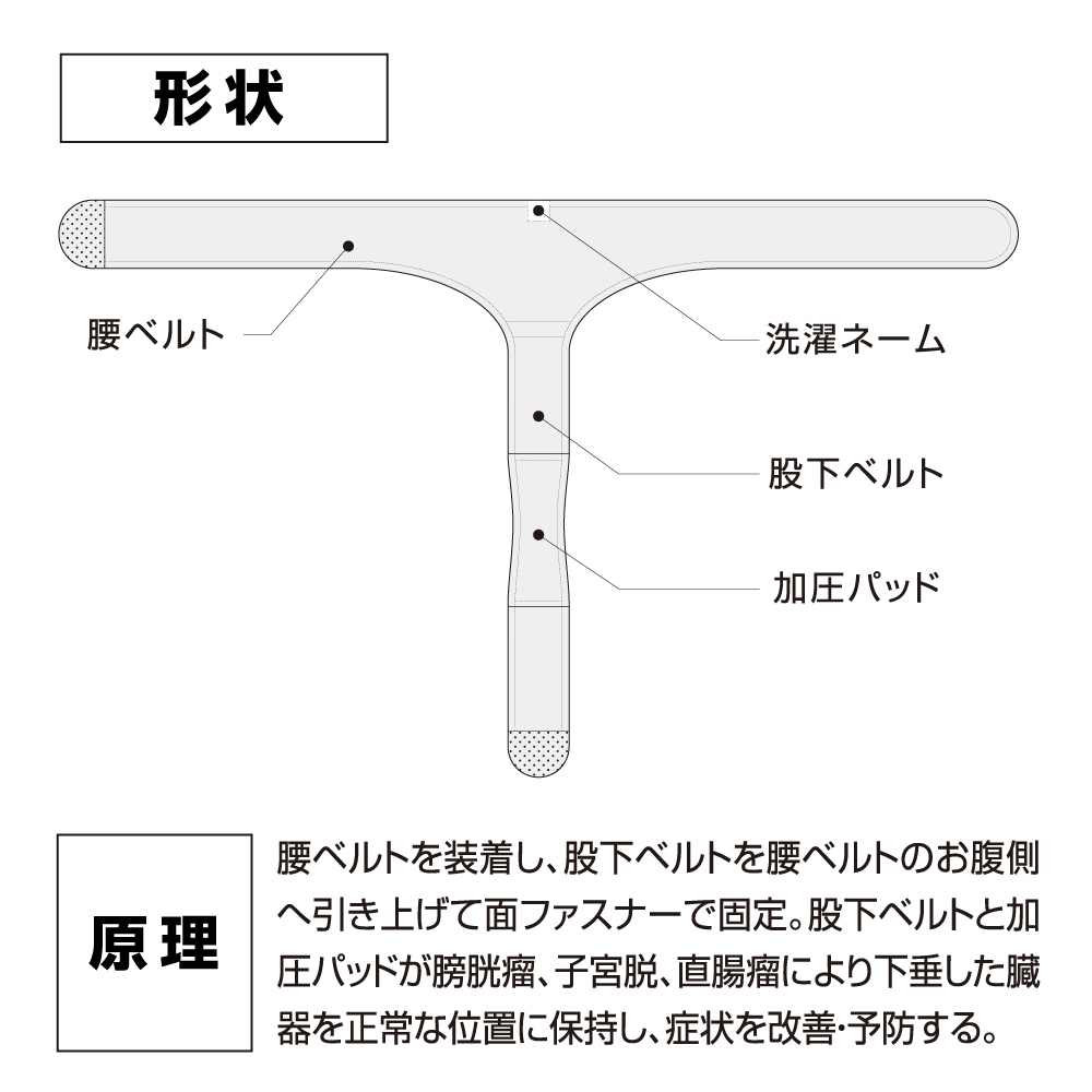 ●最大1070円OFF● 尿漏れパンツ 女性 日本製 一般医療機器 失禁パンツ 膀胱瘤対策  頻尿 軽失禁 大きいサイズ 骨盤底筋ベルト モレナレディ 超PayPay祭 |  | 09