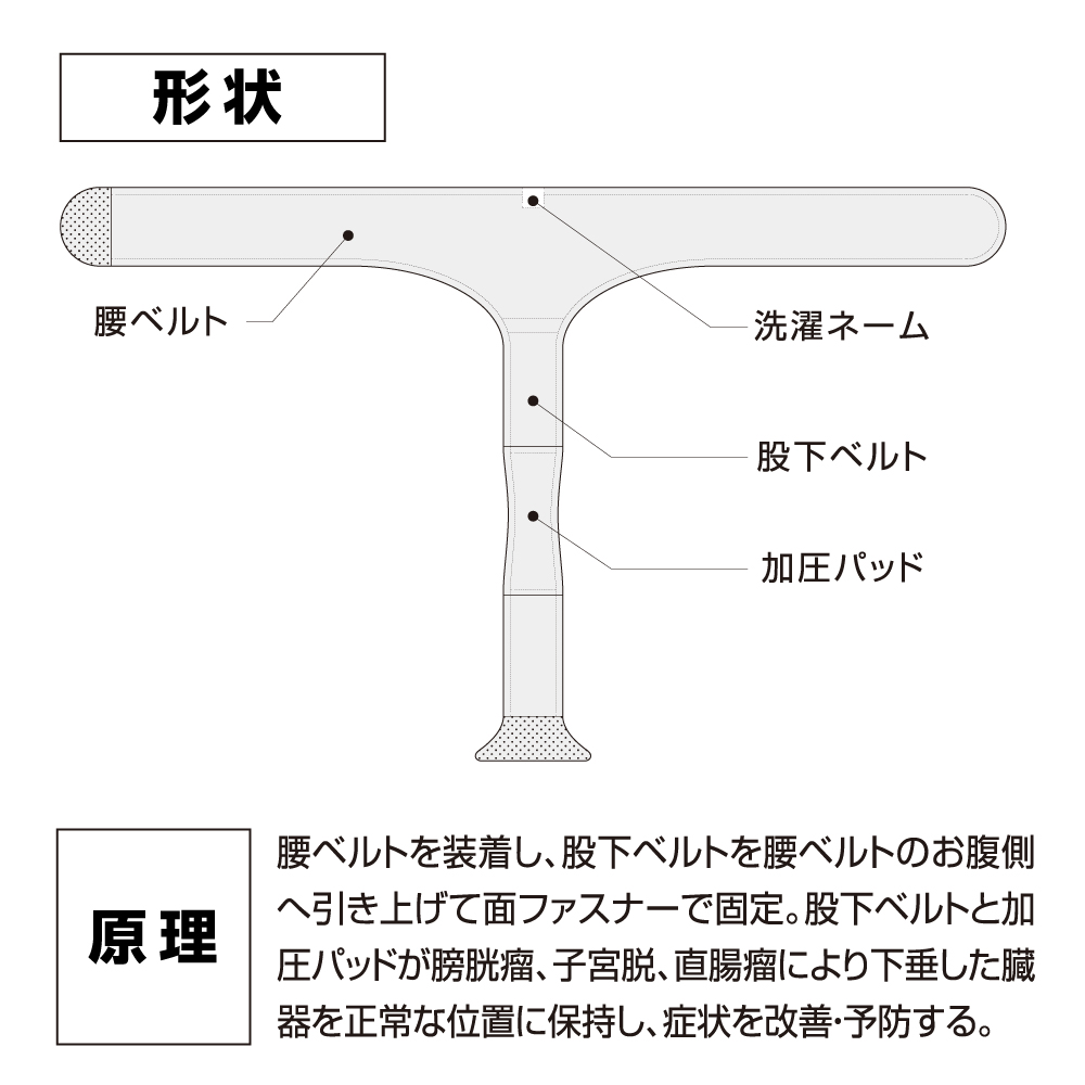 ●最大1070円OFF● 尿漏れパンツ 女性 失禁パンツ 膀胱瘤 頻尿 大きいサイズ 日本製 一般医療機器 モレナレディEX 超PayPay祭 |  | 08
