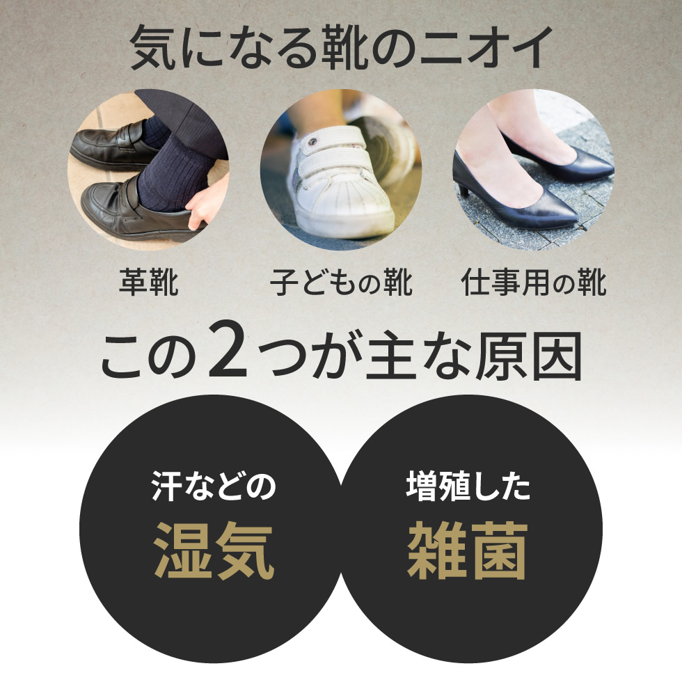 【2個購入+1個プレゼント】 NOI ノイ 靴...の詳細画像4