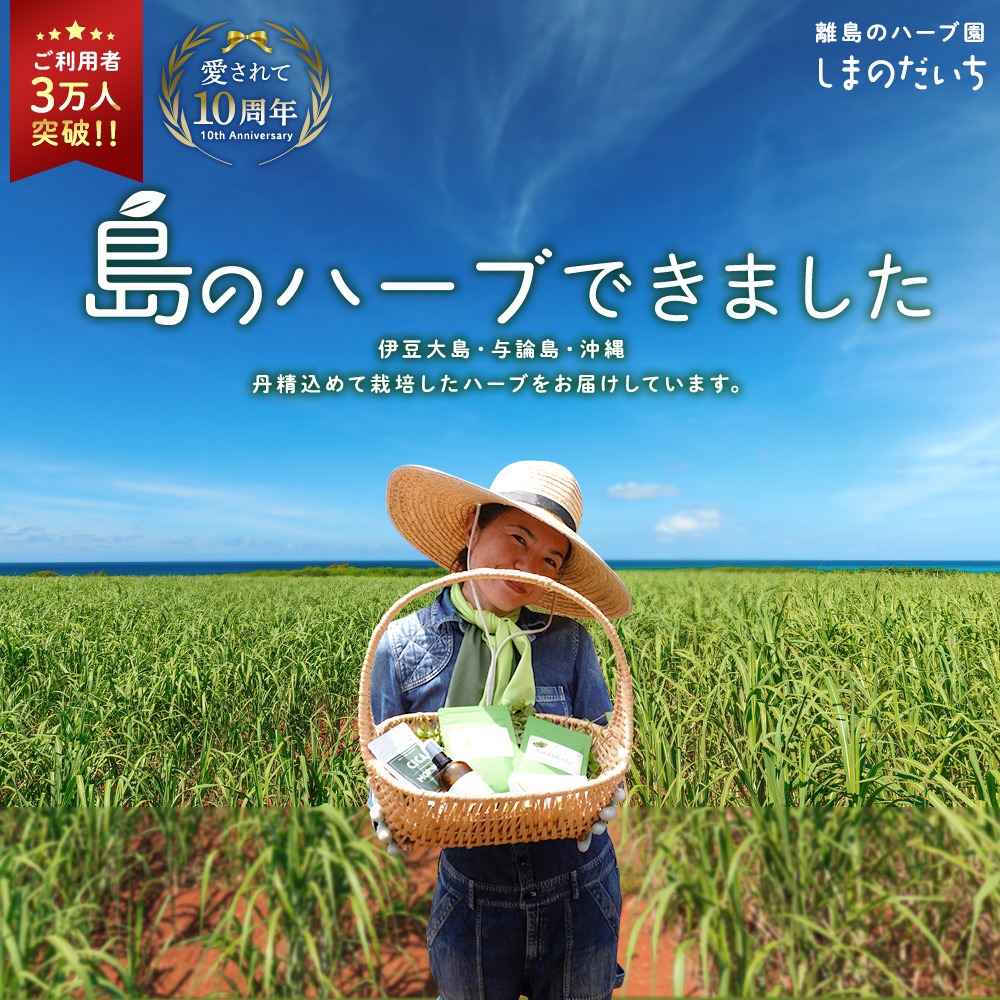 国産 ホーリーバジル お茶 大容量 パック 90g 1.5g × 60包 約2 国産 ホーリーバジル お茶 大容量 パック 90g 1.5g × 60包 約2