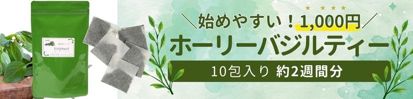 ホーリーバジル トゥルシー
