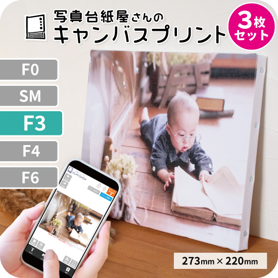 キャンバスプリント アートパネル オーダー F3サイズ 3枚セット 273mm×220mm フォト 写真 印刷 ファブリックパネル 送料無料 イズミダイシ プレゼント｜izumidaishi
