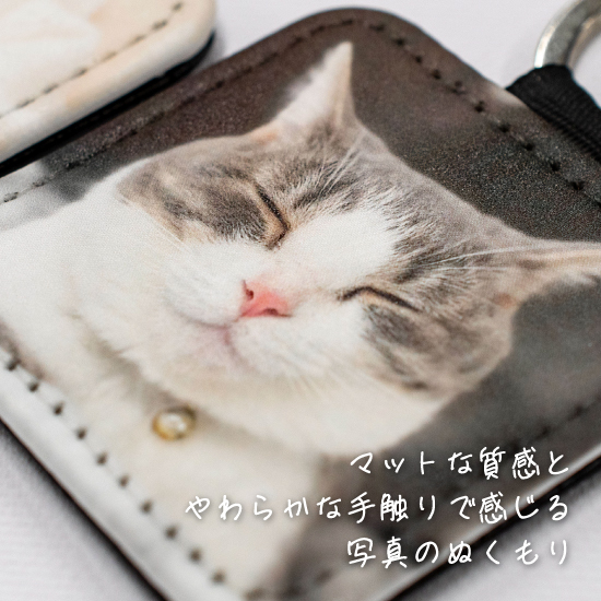 猫 キーホルダー ペット 写真 印刷 愛猫 キャット cat 子猫 名入れ