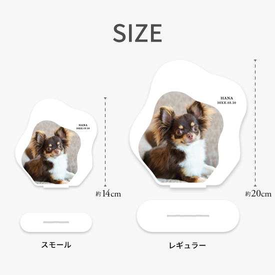 サイズ