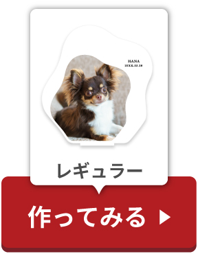 レギュラーボタン