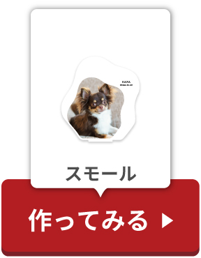 スモールボタン
