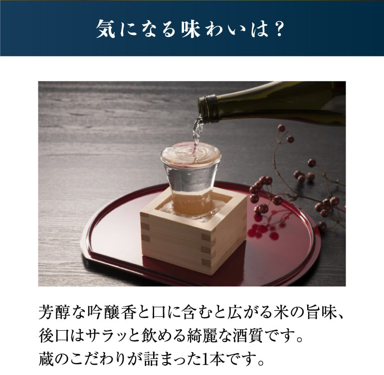 日本酒 越乃姫椿 純米大吟醸 1.8L 加藤酒造 新潟 清酒 化粧箱付き 山田