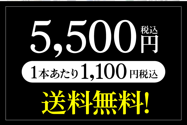 純米酒5本セット