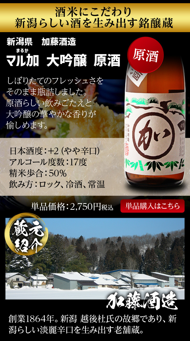 4/25限定 全品P3倍 日本酒 飲み比べセット 全国10蔵 大吟醸