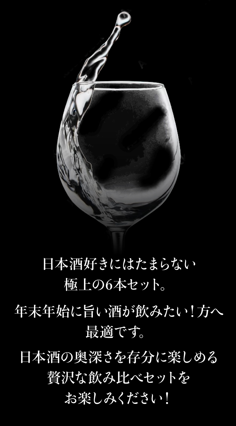 十四代 日本酒「極上6酒の饗宴」飲み比べセット 720ml×6本 【送料無料