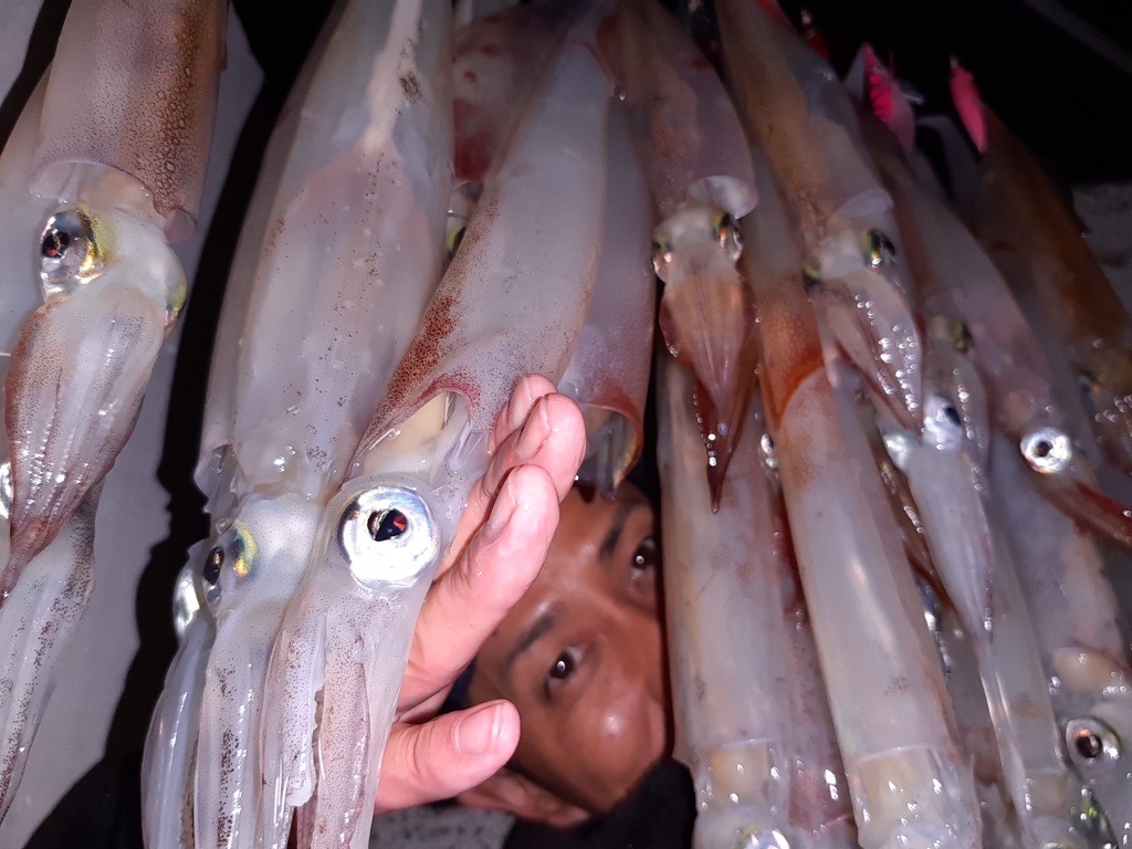 伊豆おかっぱり釣り だいちゃん