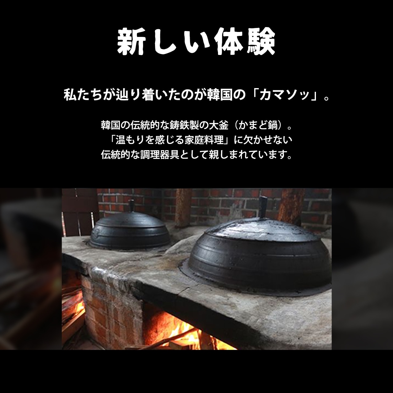 JHQマルチカマ収納ケースセット