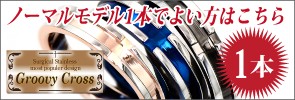 ノーマルモデル単品1本はこちら