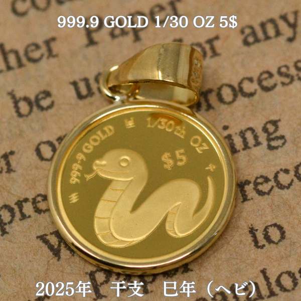2025年 限定 干支 巳年 コイン 蛇 ヘビ Snake Coin ペンダント