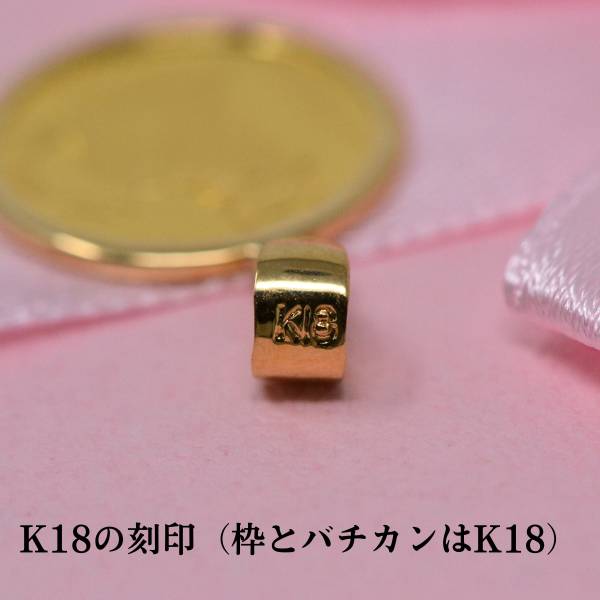 2024年 限定 コイン ネコ キャット CAT COIN ブリティッシュショート