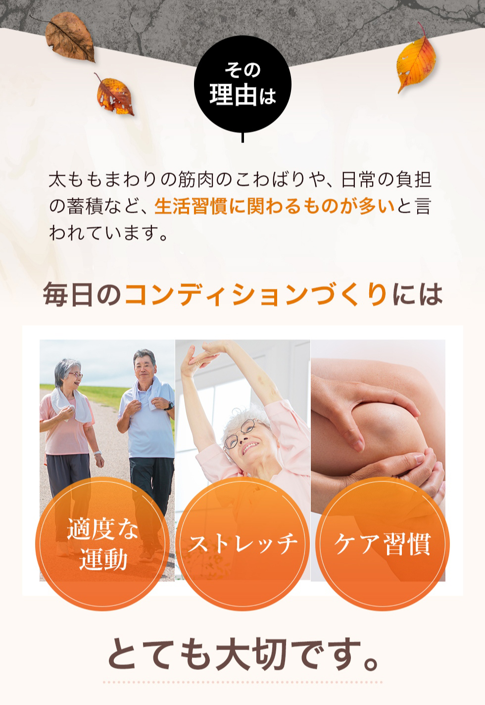 あゆみEX グルコサミン 塗るグルコサミン コンドロイチン クリーム