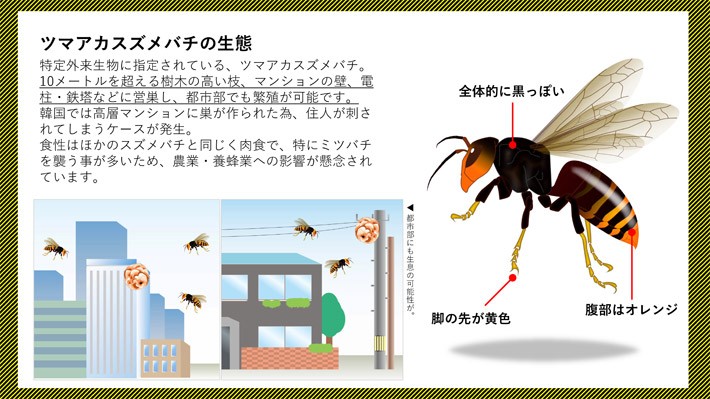 専門店では専門店では冷却ファン付 蜂防護服 ホーネットI ツマアカスズメバチ対策済 制服、作業服