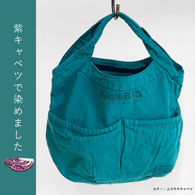 VegieBAG ベジバッグ バケットバッグ キャンバス ミニ トートバッグ ランチバッグ エコバッグ 野菜染め ボタニカル ダイ  (BD-205/206) (ゆうパケット対象)