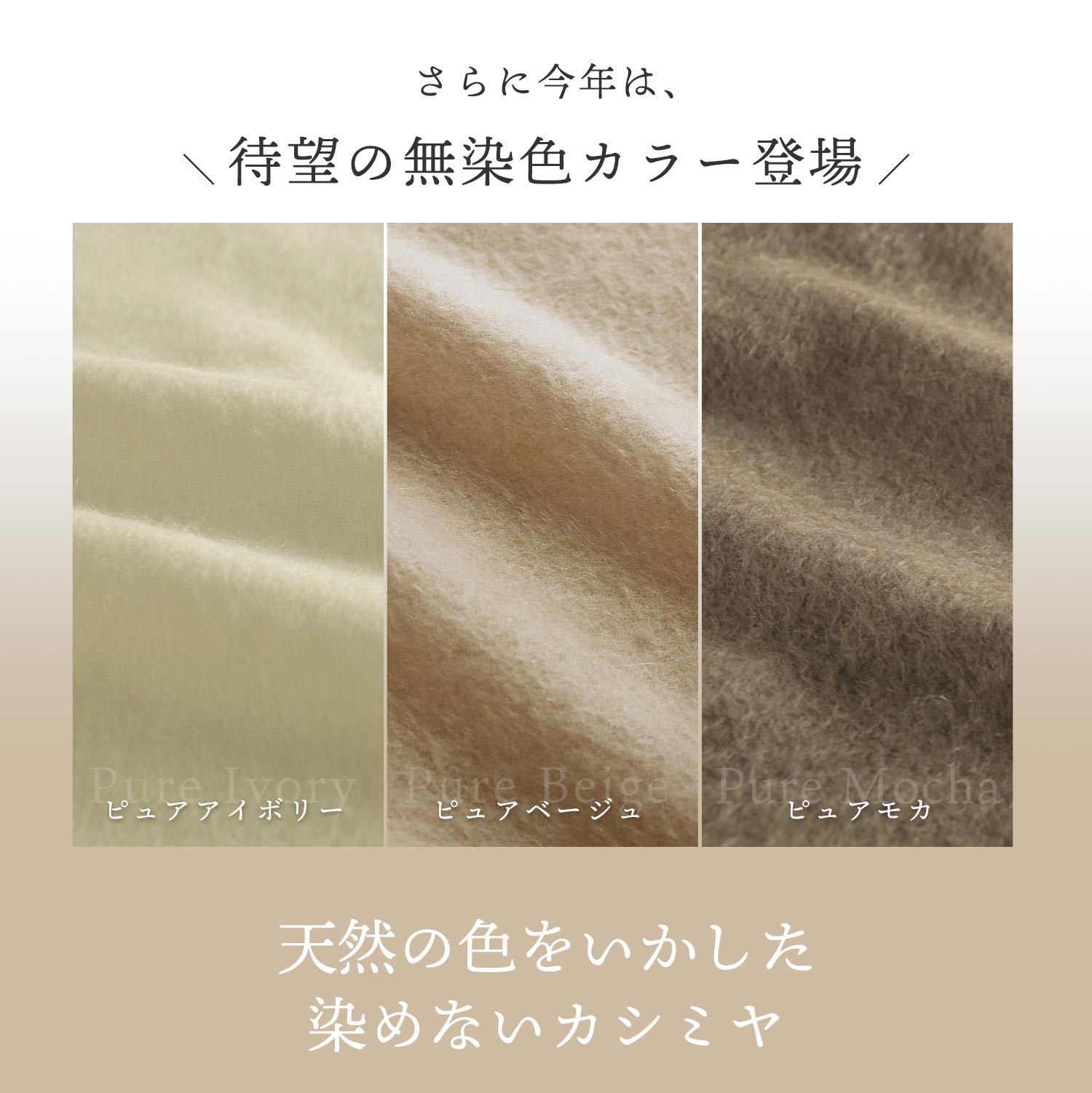 Filomo（フィローモ） ［5%OFFクーポン］カシミヤ マフラー レディース