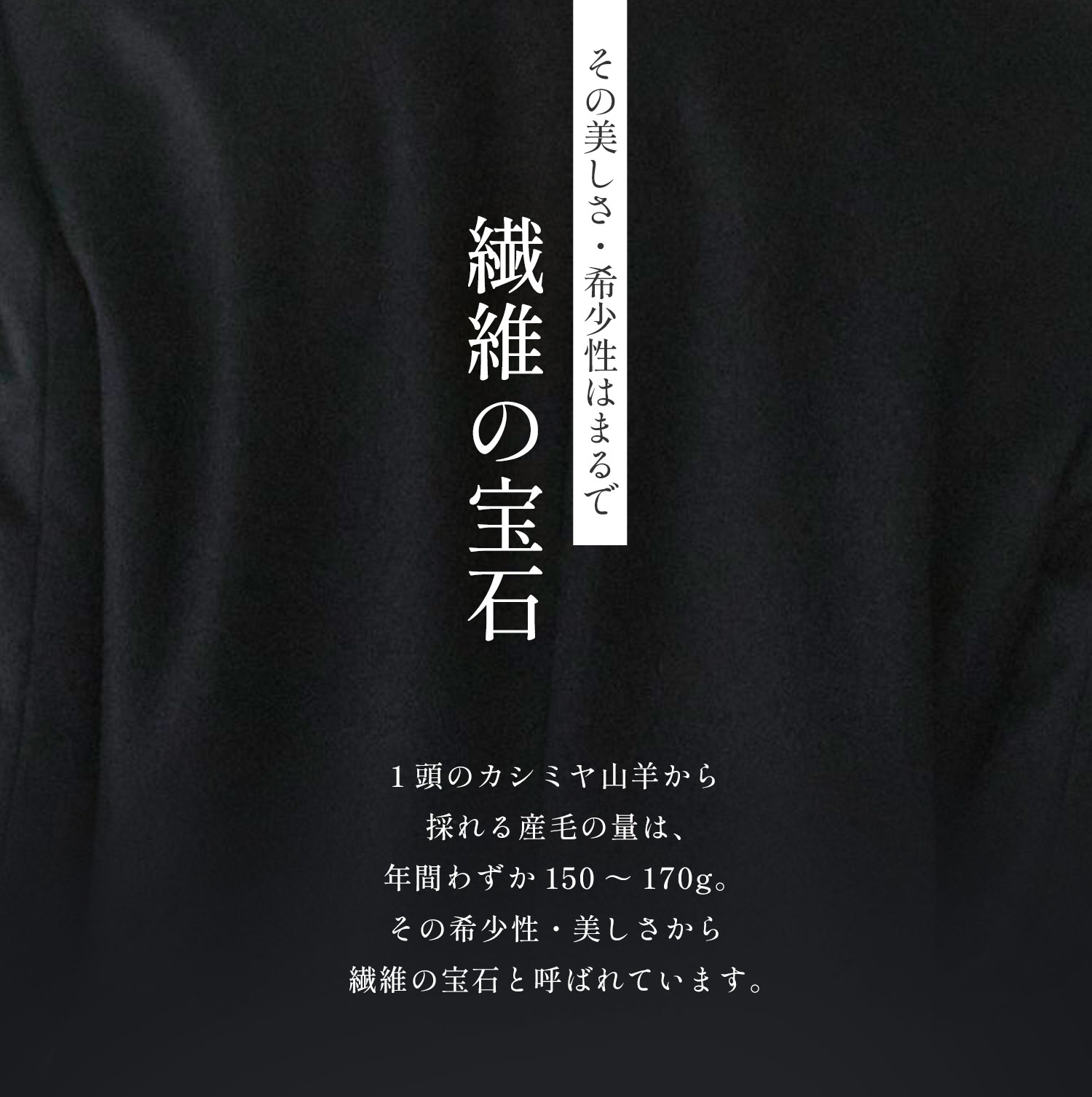 Filomo（フィローモ） カシミヤ 100% ノーカラー コート 着丈85cm