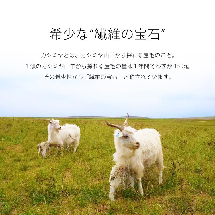 Filomo フィローモ カシミヤ 100％ ニット カーディガン ロング