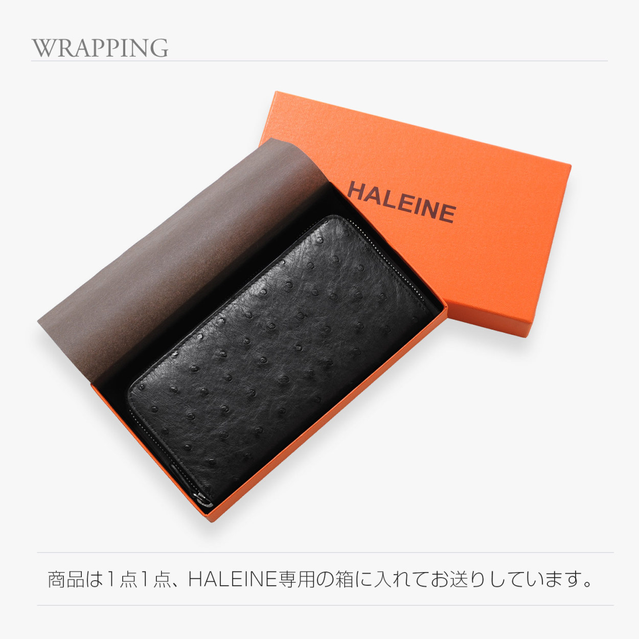 HALEINE フルポイント オーストリッチ 一枚革 ラウンドファスナー長