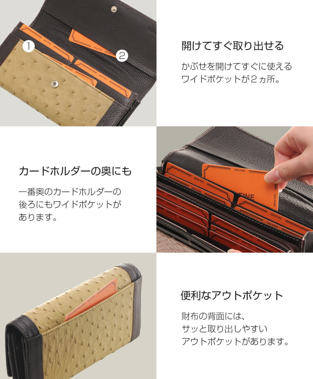 HALEINE（アレンヌ） フルポイント オーストリッチ ＆ 牛革 かぶせ 長