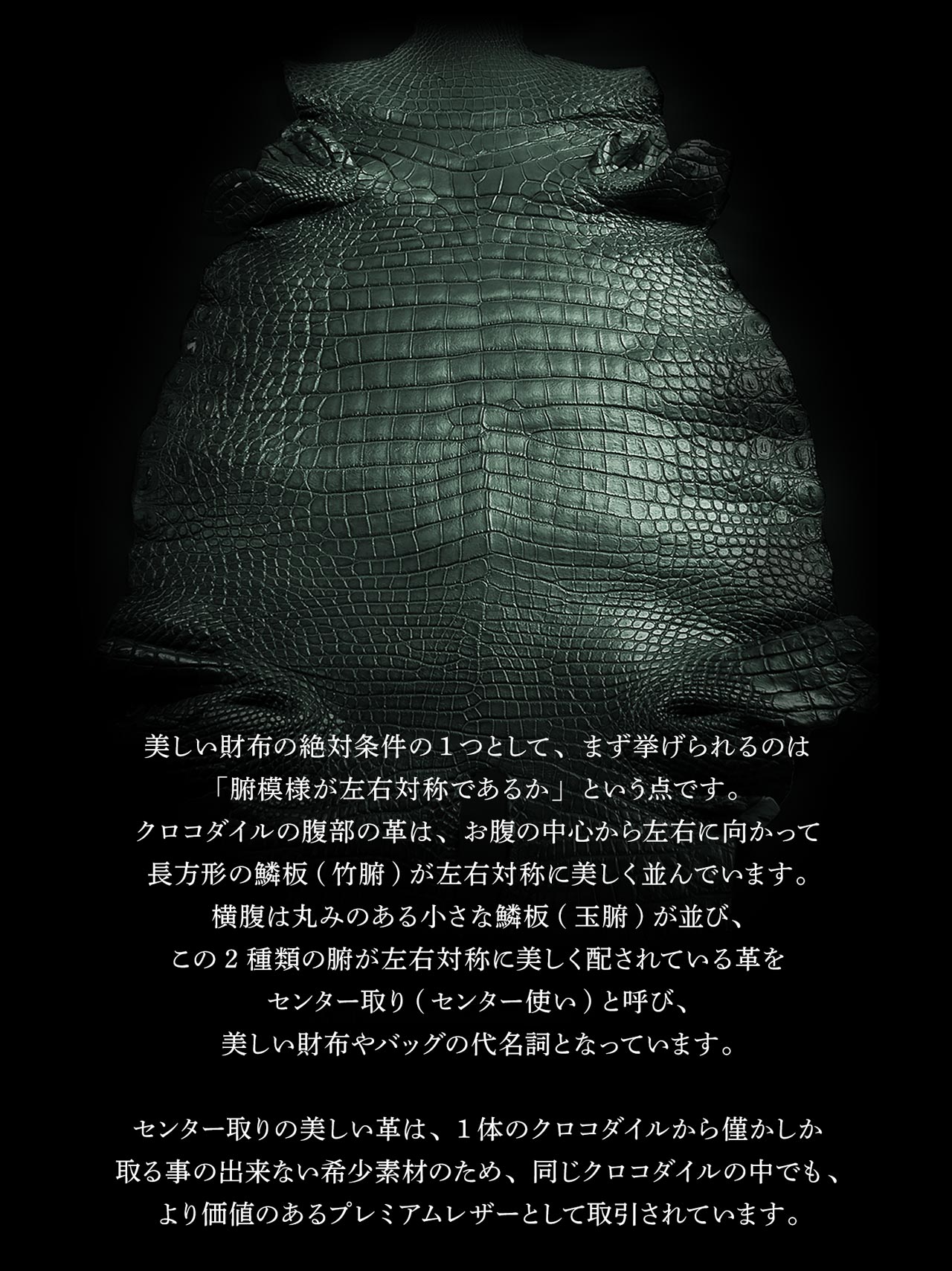 ［10%OFFクーポン］緑龍 クロコダイル ラウンドファスナー 長財布 マット加工 日本製 JRA 一枚革 センター取り HALEINE (06000608-cc-1r)【爆買!!】の画像