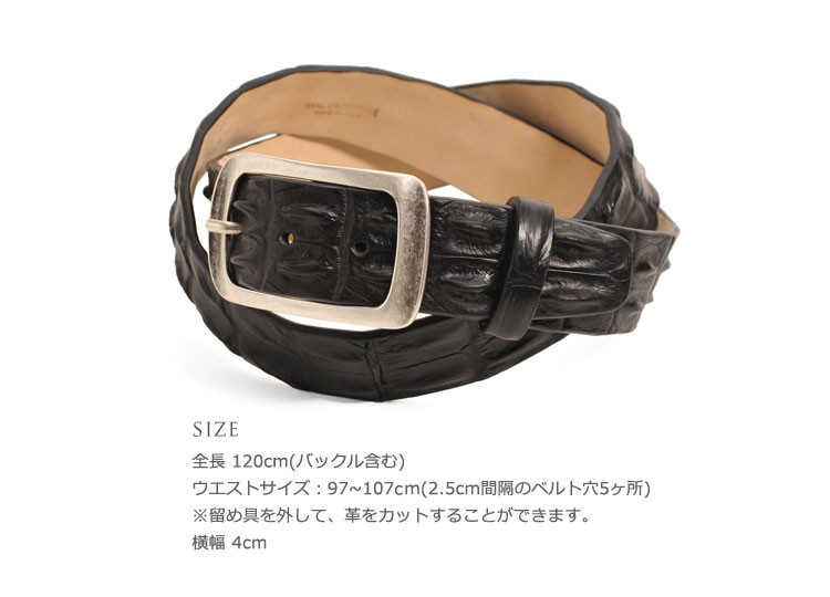 sankyo shokai（三京商会） イタリア製 ポロサス ホーンバック ベルト