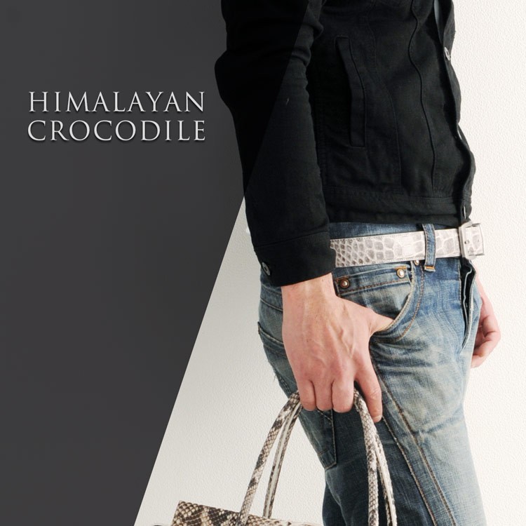 ヒマラヤクロコ　ベルト 楽天市場】【クーポン発行中】ヒマラヤクロコダイル ベルト ピンタイプ