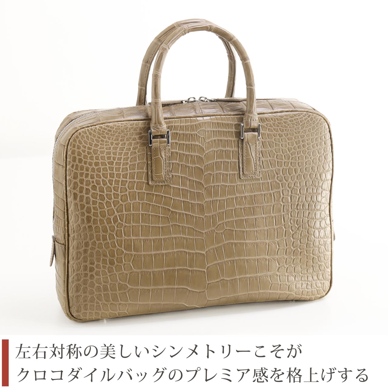 左右対称のクロコダイル