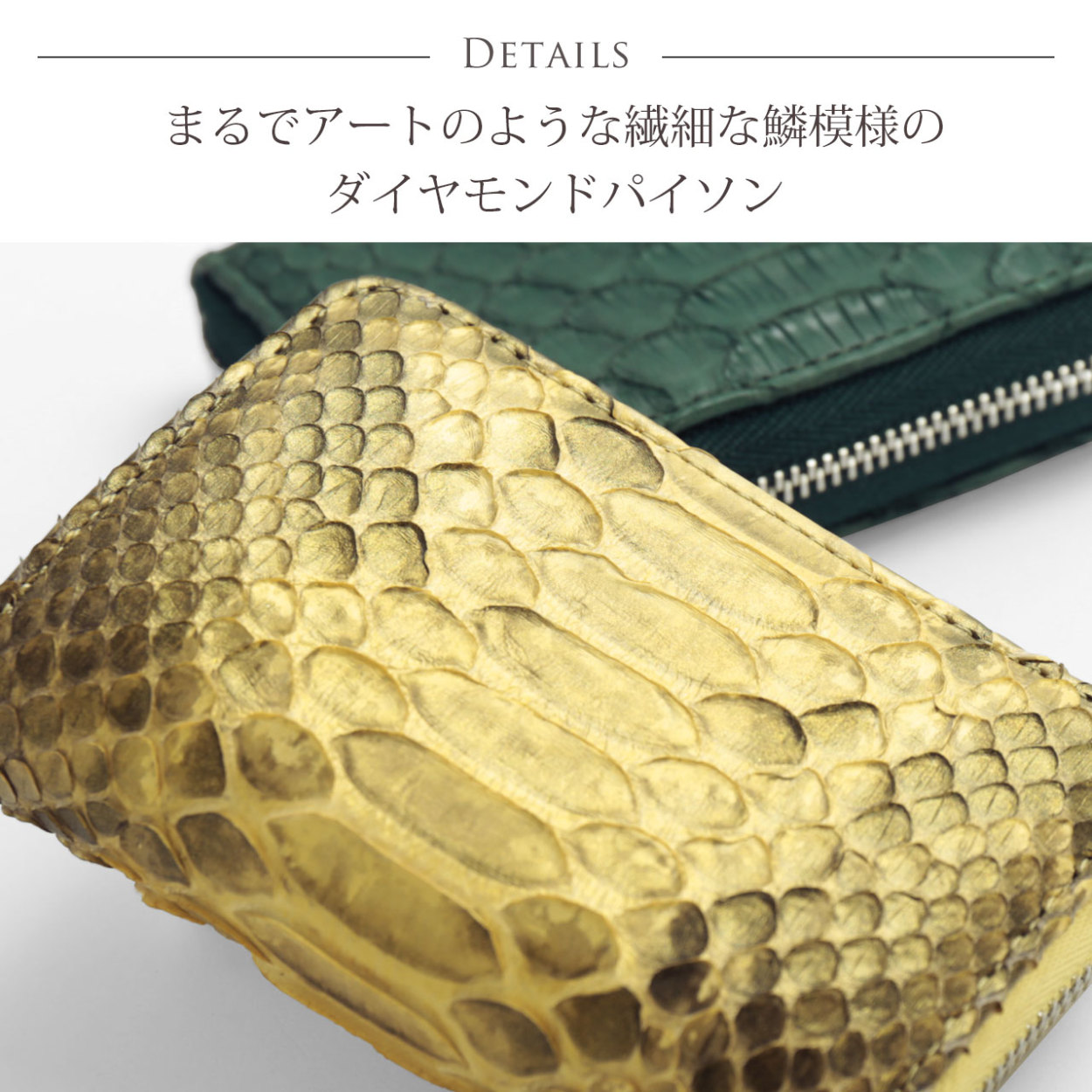 sankyo shokai パイソン 小銭入れ メンズ ラウンドファスナー sankyo shokai パイソン 小銭入れ メンズ ラウンドファスナー