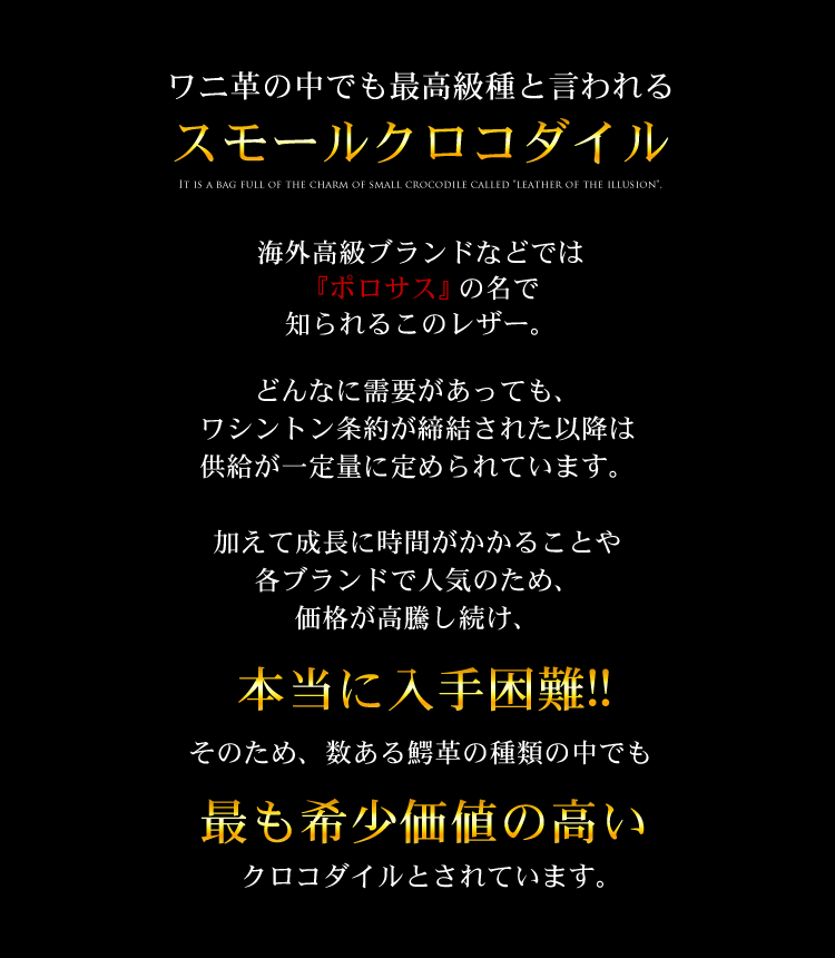 スモール クロコダイル トートバッグ メンズ センター取り ポーチ 付き