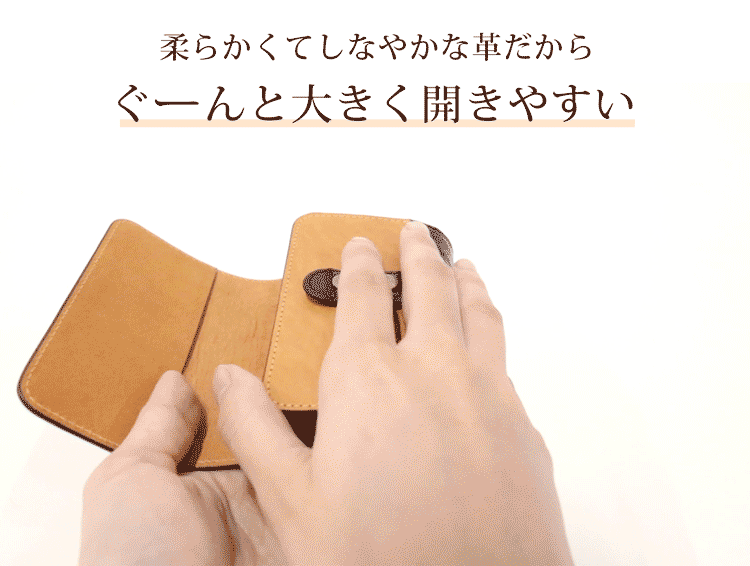 sankyo shokai クロコダイル カードケース レディース じゃばら