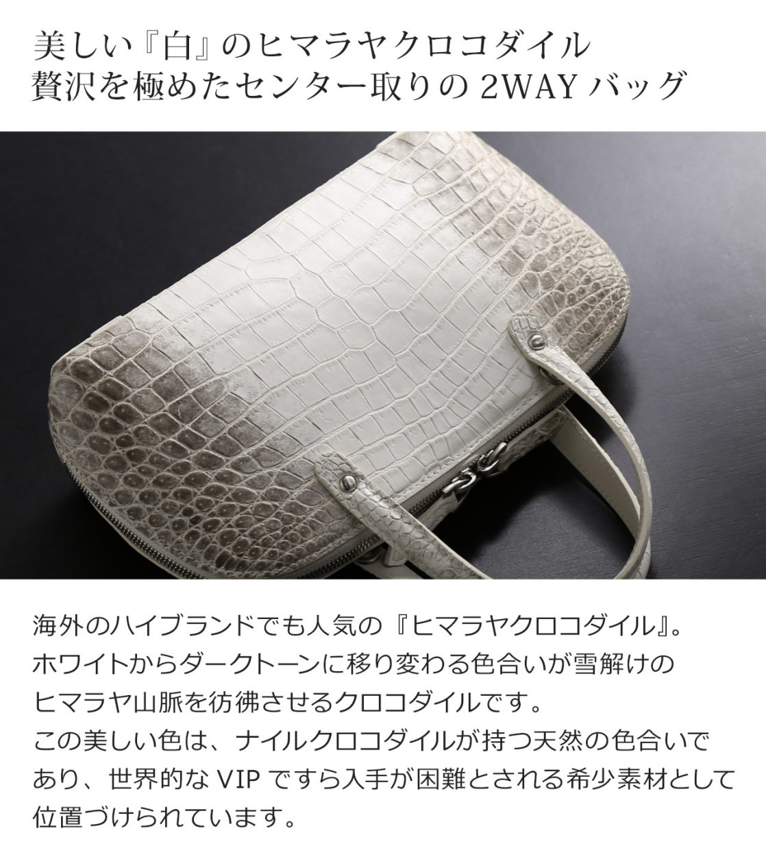 sankyo shokai（三京商会） ヒマラヤ クロコダイル ハンドバッグ 2way
