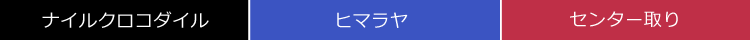 ヒマラヤ クロコダイル トートバッグ センター取り レディース 2way ショルダーの画像