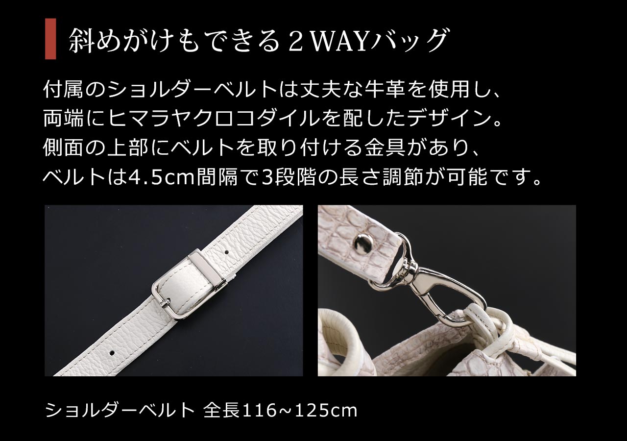 sankyo shokai（三京商会） ［5%OFFクーポン］ヒマラヤクロコダイル
