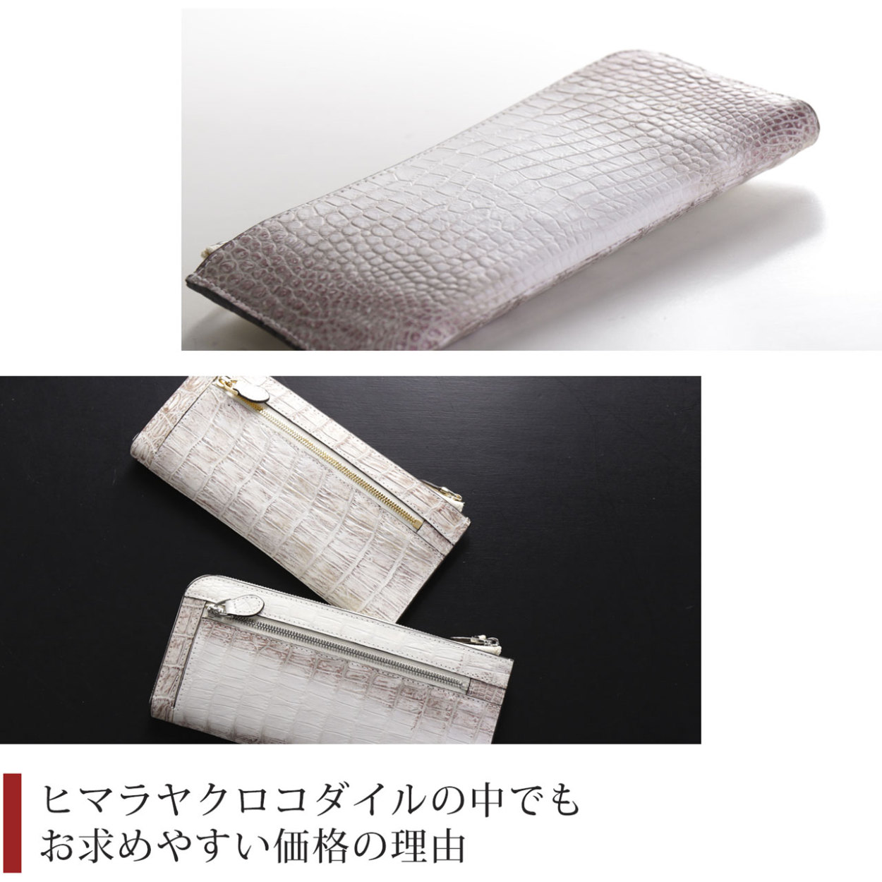 sankyo shokai [10％OFFクーポン対象]ヒマラヤ クロコダイル 長