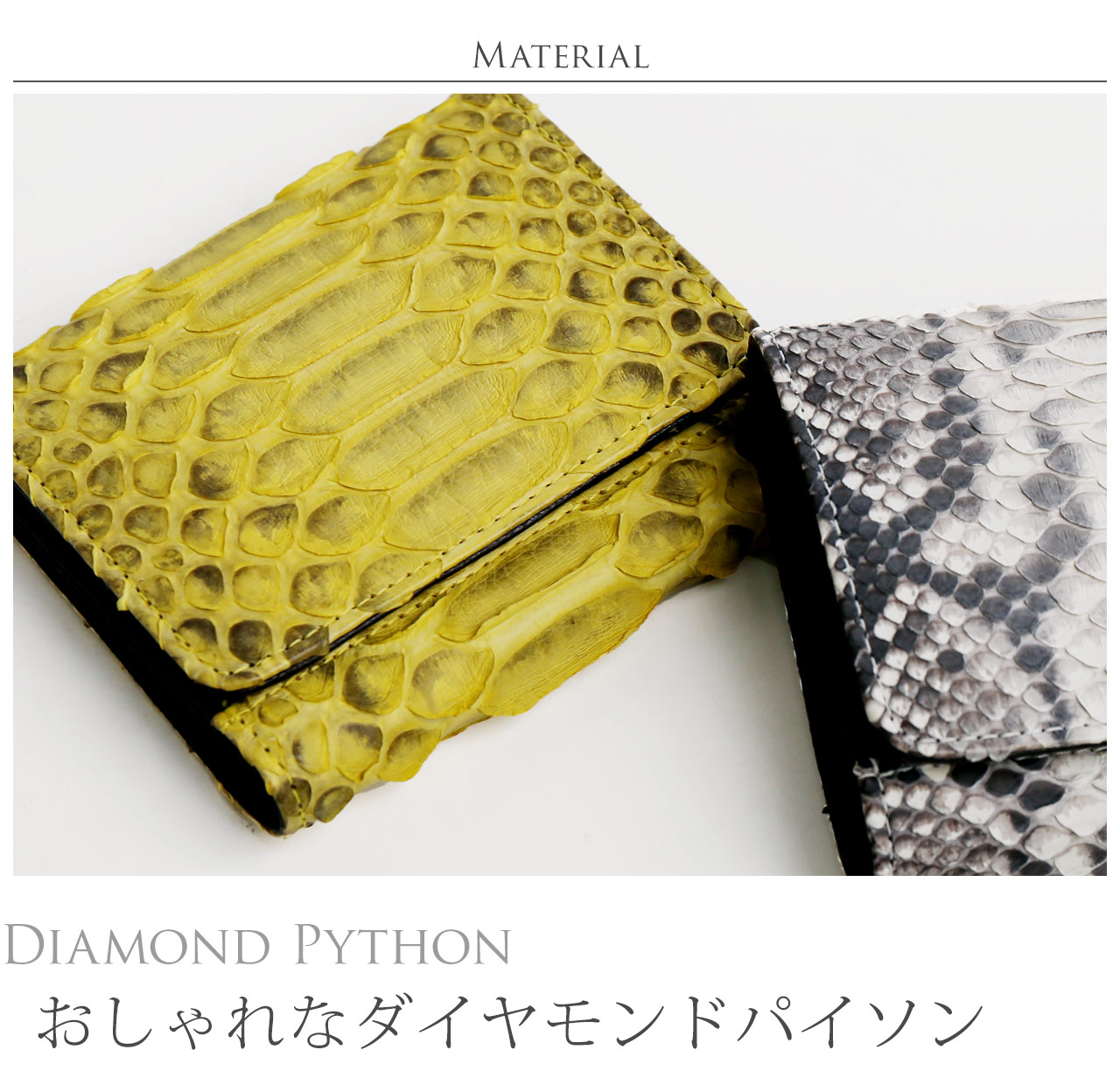 本革パイソン　小銭入れ　コンパクトウォレット　マッドイエロー　JRA認定タグ 本革パイソン 小銭入れ コンパクトウォレット マッドイエロー