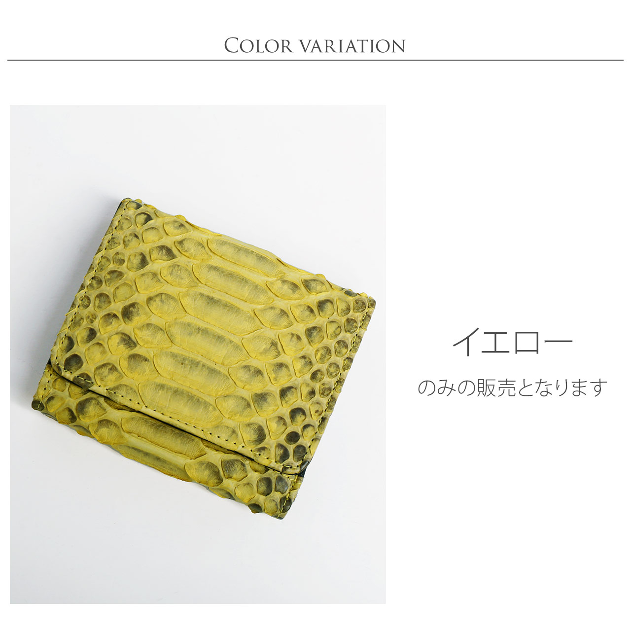 Amazon | Blue Pure 200シリーズ Pure231/221/211/3610 対応