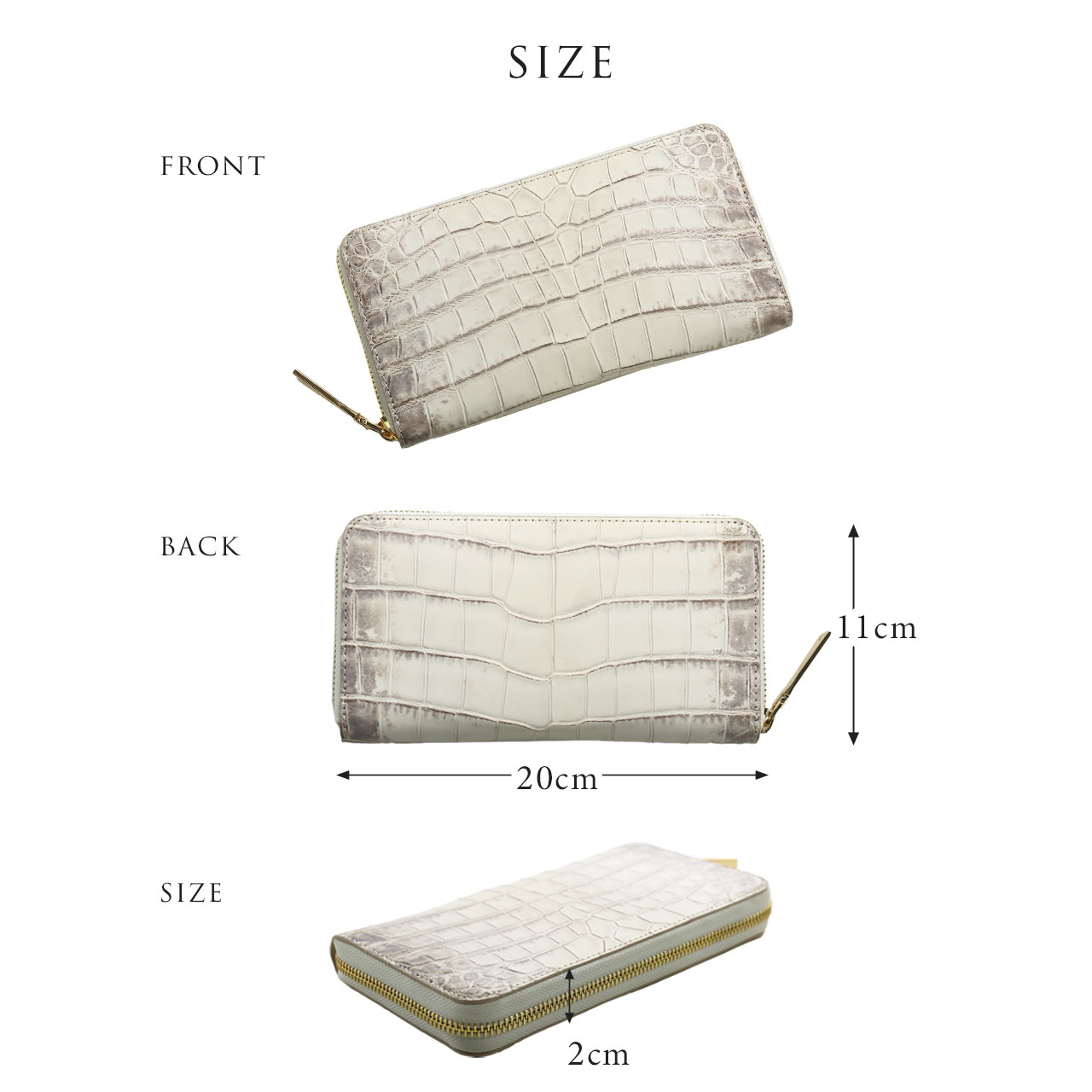 sankyo shokai（三京商会） [24h限定10%off]ヒマラヤクロコダイル